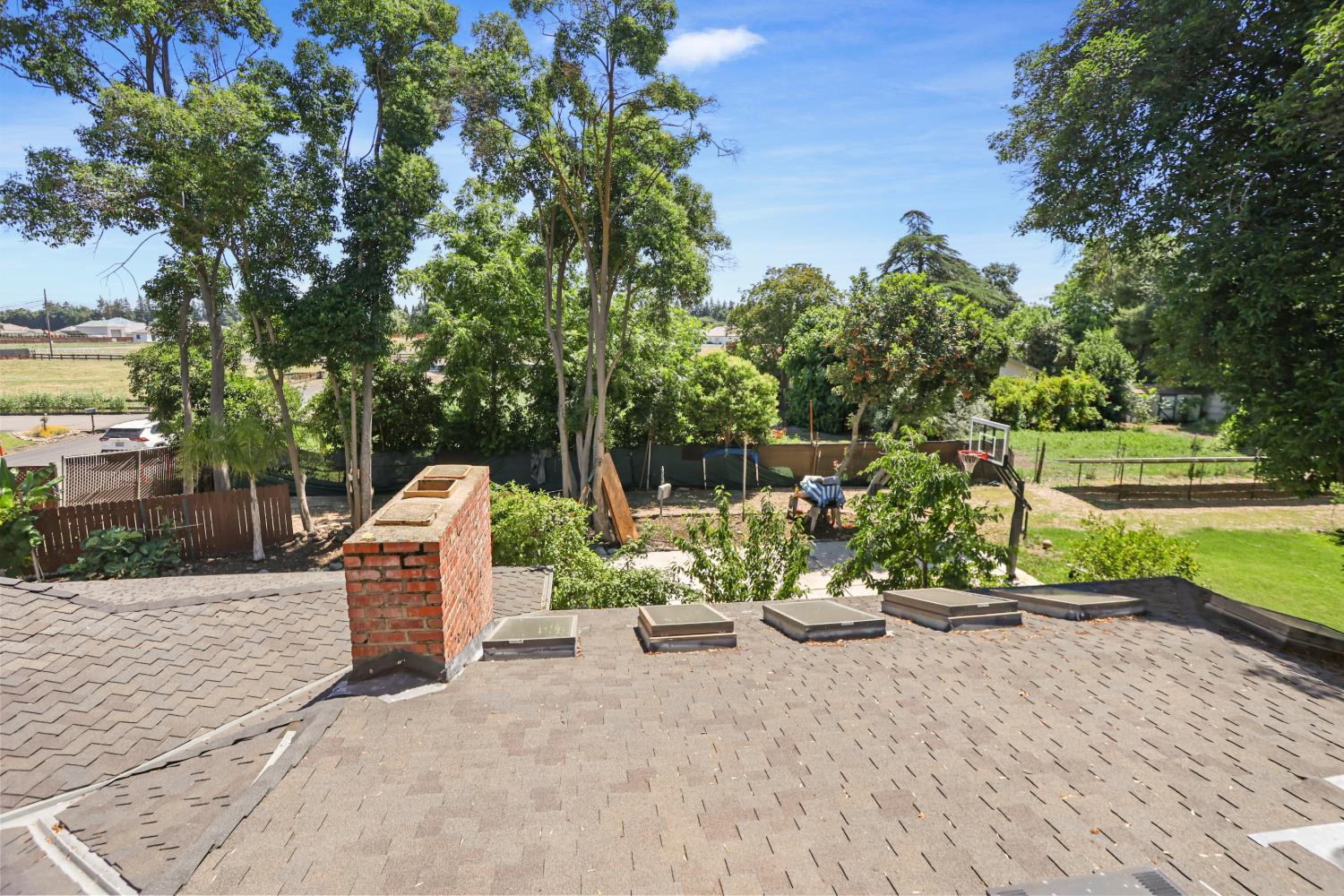 9935 Hazel Road Stockton, CA 95212 - Photo 73 of 98 a view of a park with potted plants and large trees