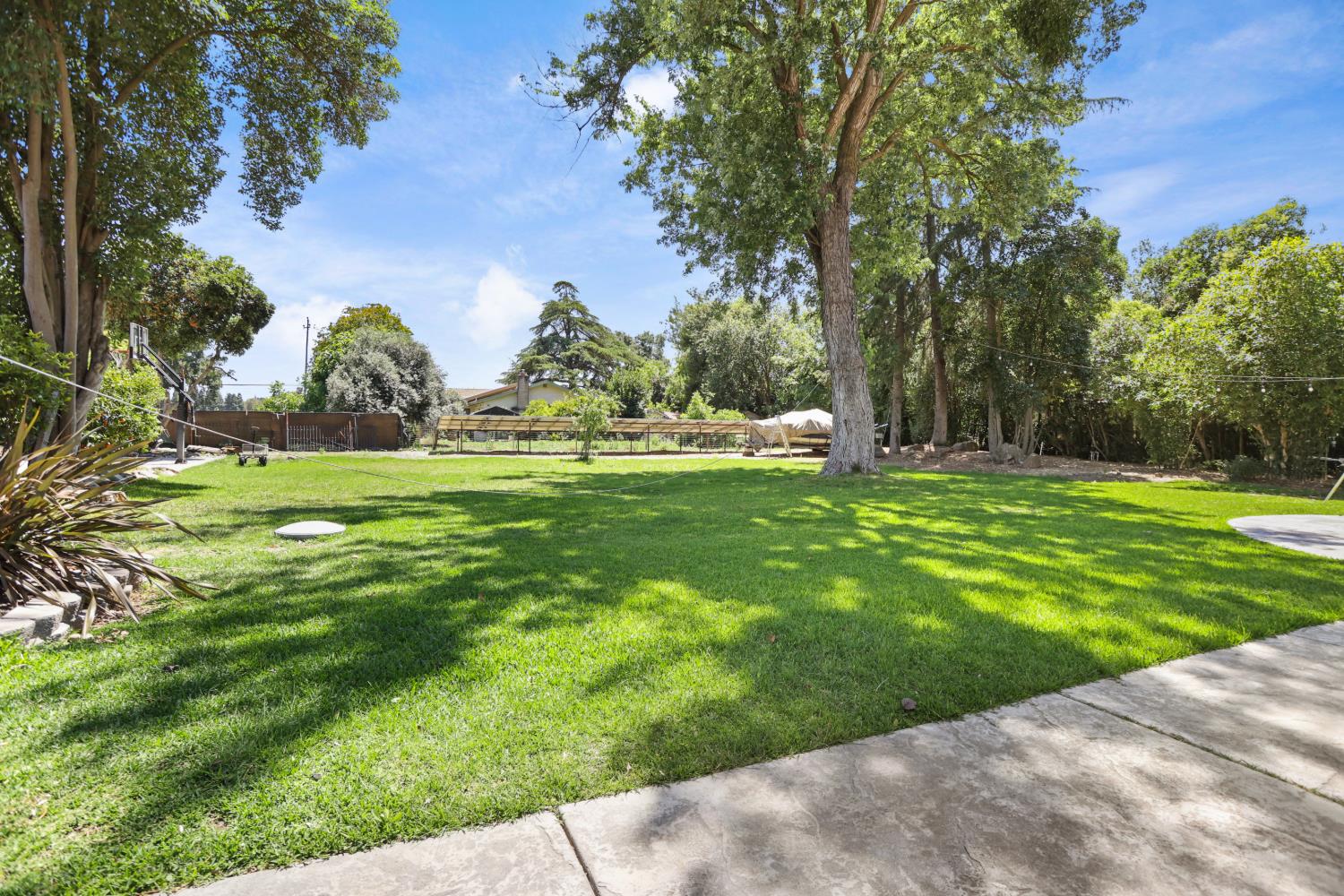 9935 Hazel Road Stockton, CA 95212 - Photo 83 of 98 a backyard of a house with lots of green space