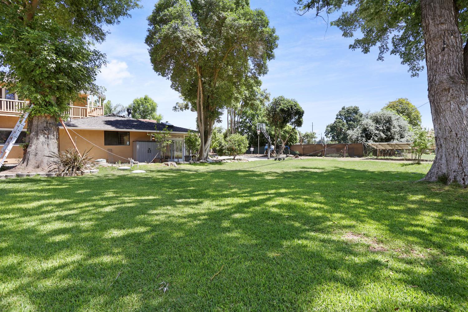 9935 Hazel Road Stockton, CA 95212 - Photo 84 of 98 a front view of house with yard and trees