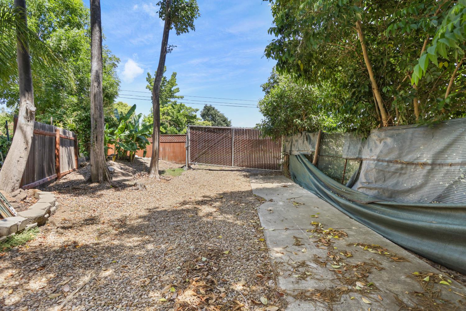 9935 Hazel Road Stockton, CA 95212 - Photo 86 of 98 a view of a backyard with plants and large trees