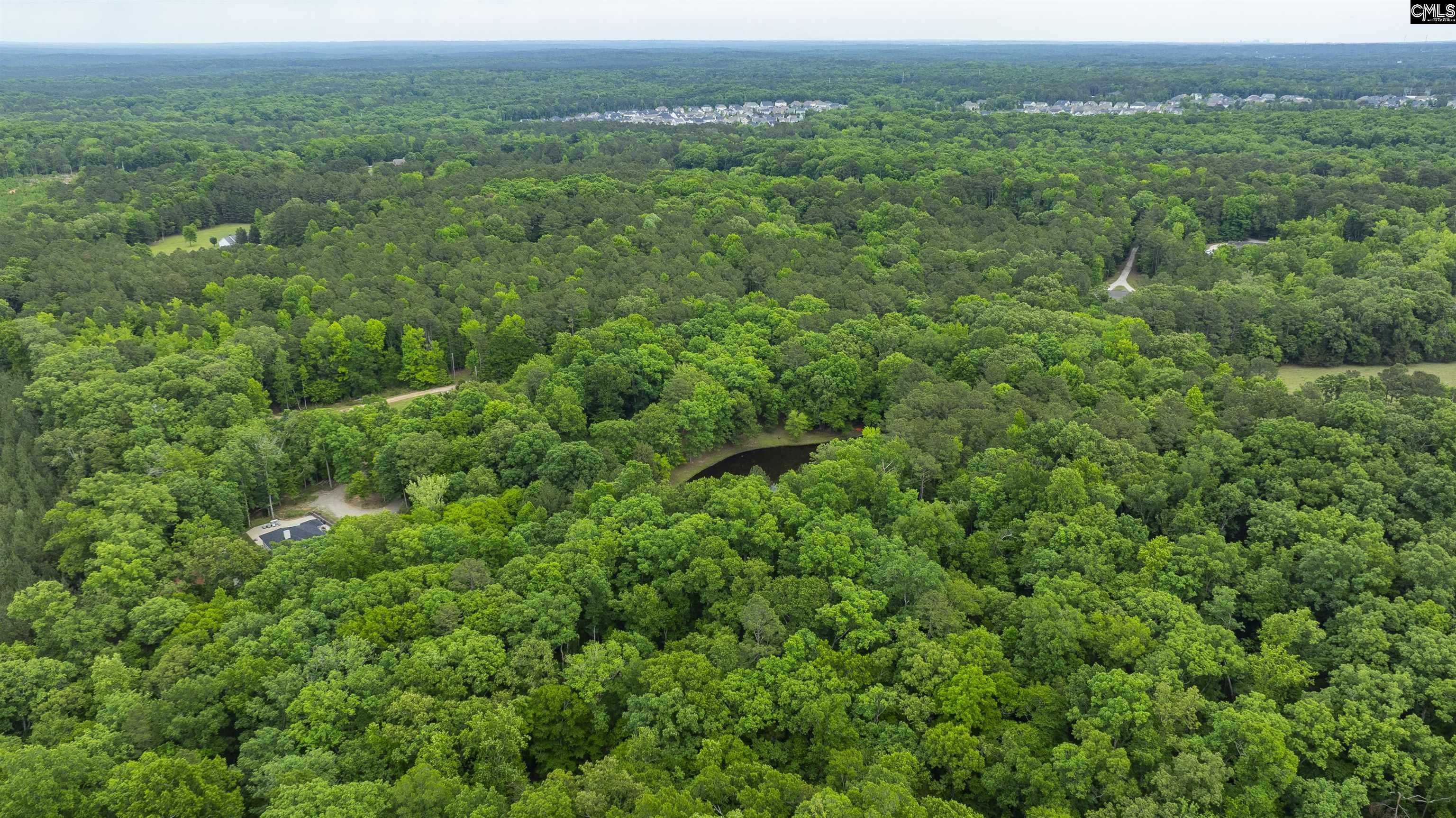 150 Four Foxes Lane Chapin, SC 29036 - Photo 15 of 82