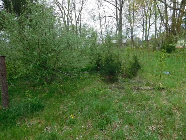 $23,900 | 627 East St Joseph Street, Paw Paw, MI 49079