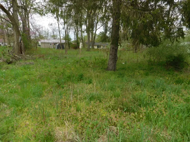 $23,900 | 627 East St Joseph Street, Paw Paw, MI 49079