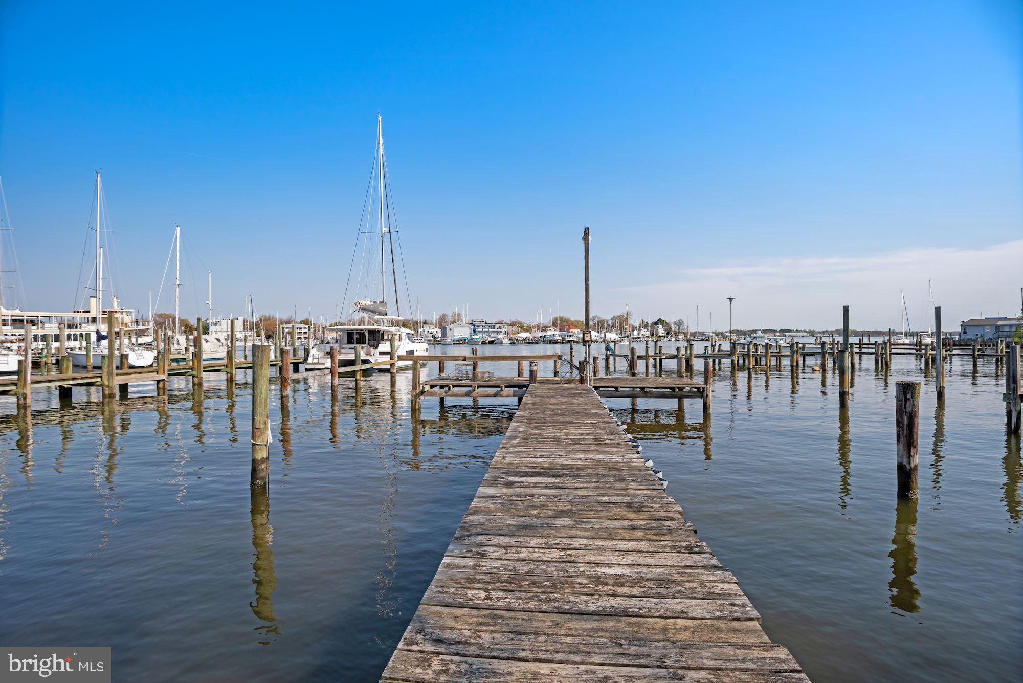 7046 Bembe Beach Road Annapolis, MD 21403 - Photo 6 of 38 6'+ MLW Deep Water Pier with 4 Slips