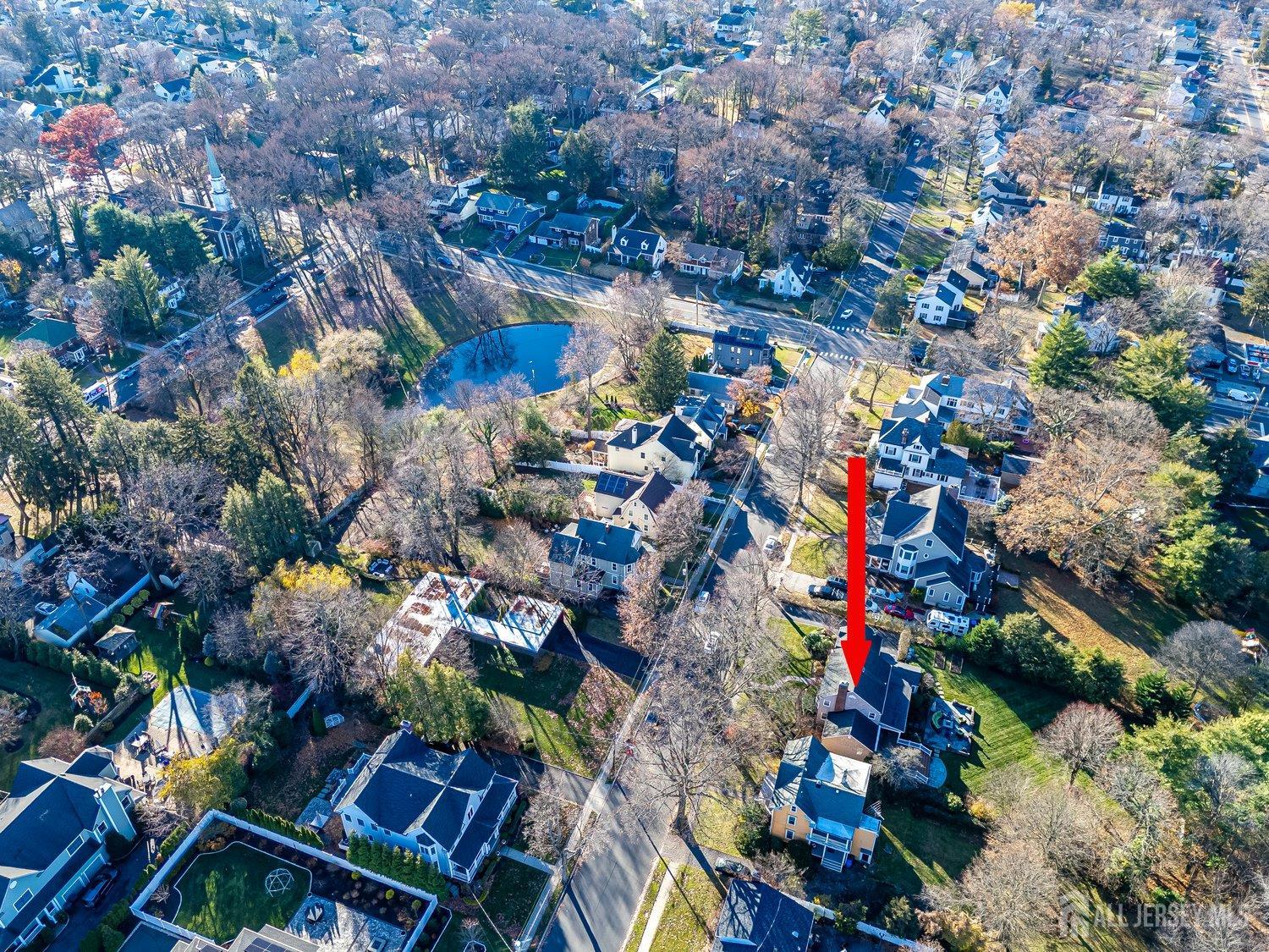 62 Spring Street Metuchen, NJ 08840 - Photo 12 of 47 a picture of flowers