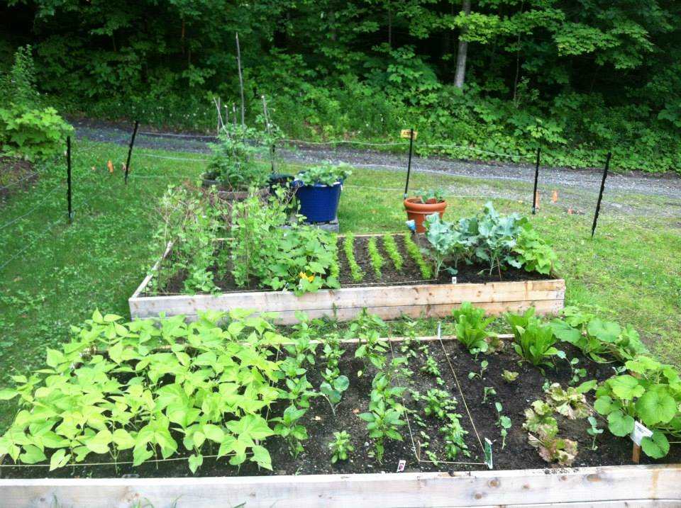 109 Taplin Road Barre Town, VT 05641 - Photo 38 of 40