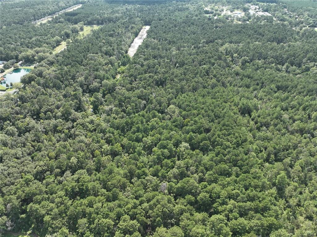 Tbd Tbd La-445 Highway Robert, LA 70455 - Photo 23 of 32