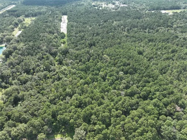 $225,000 | Tbd Tbd La-445 Highway, Robert, LA 70455