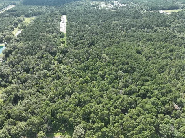 $225,000 | Tbd Tbd La-445 Highway, Robert, LA 70455