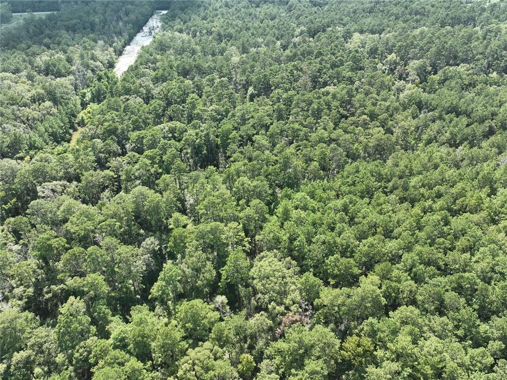 Tbd Tbd La-445 Highway Robert, LA 70455 - Photo 27 of 32