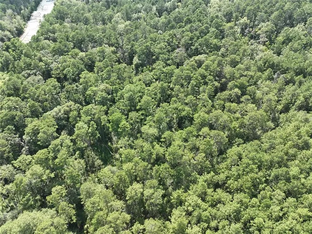 $225,000 | Tbd Tbd La-445 Highway, Robert, LA 70455