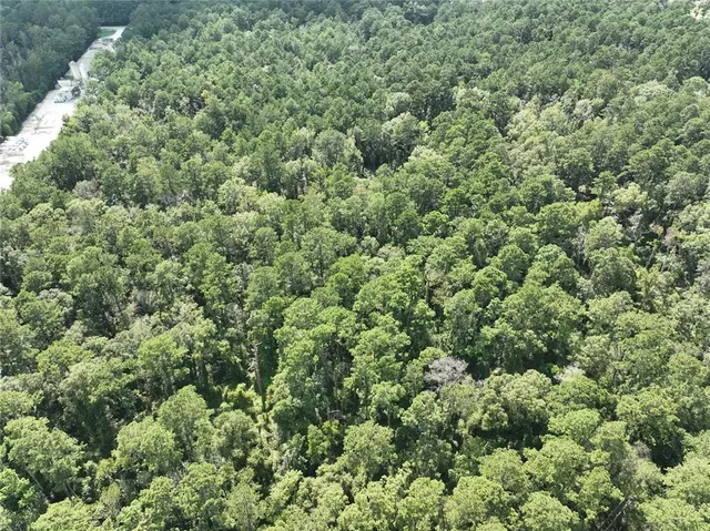 $225,000 | Tbd Tbd La-445 Highway, Robert, LA 70455