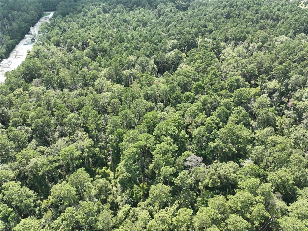 Tbd Tbd La-445 Highway Robert, LA 70455 - Photo 29 of 32