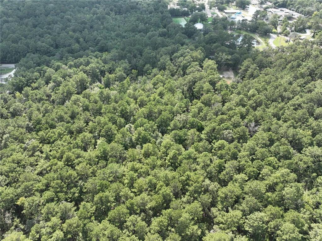 Tbd Tbd La-445 Highway Robert, LA 70455 - Photo 31 of 32