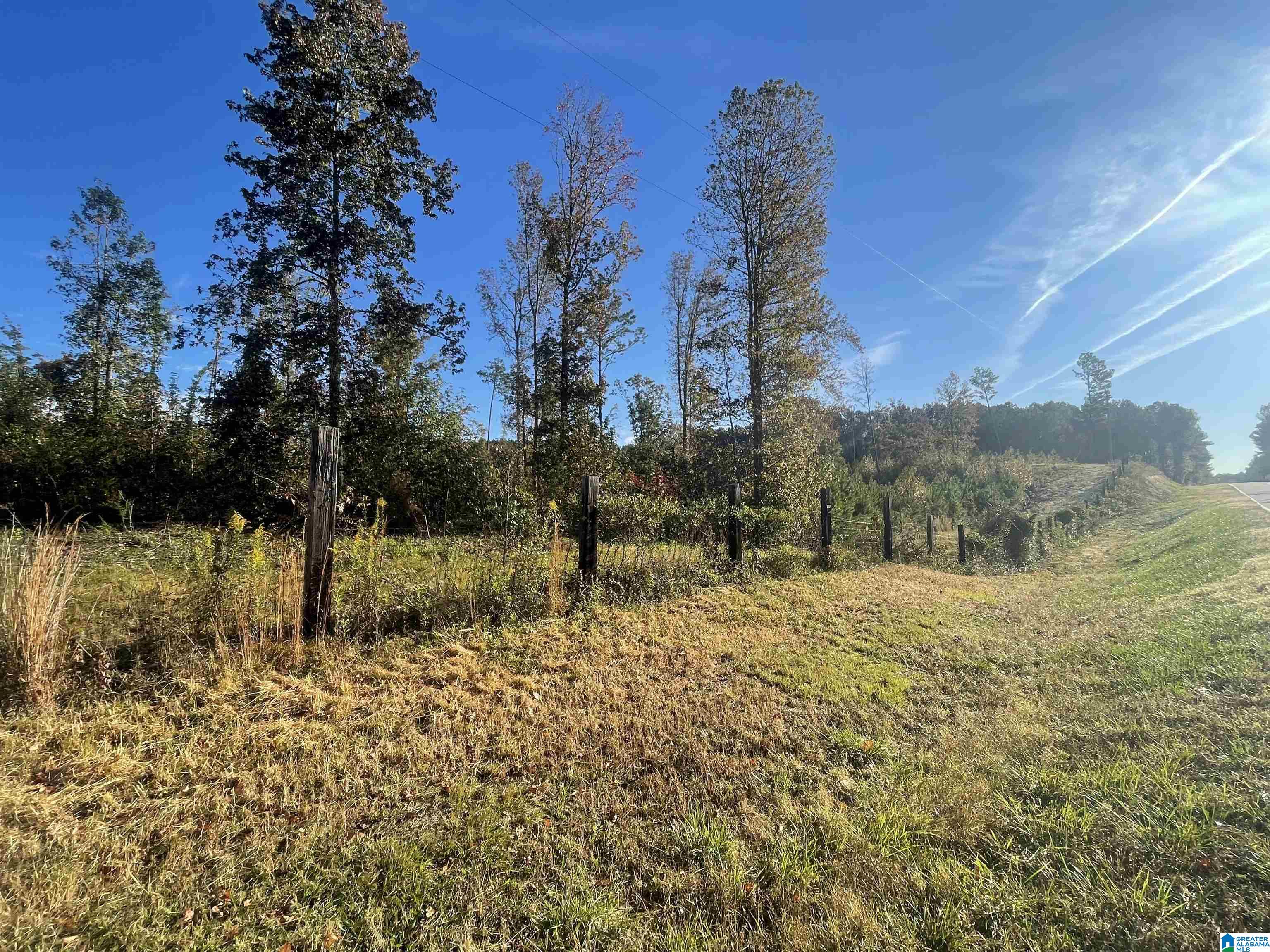 Lot 5 Mooney Road, Unit 5 Jemison, AL 35085 - Photo 3 of 3