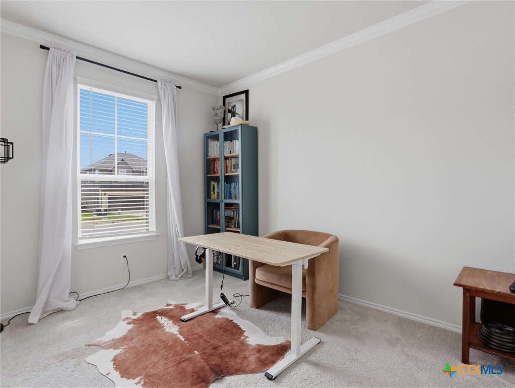 198 Orange Road Buda, TX 78610 - Photo 9 of 28