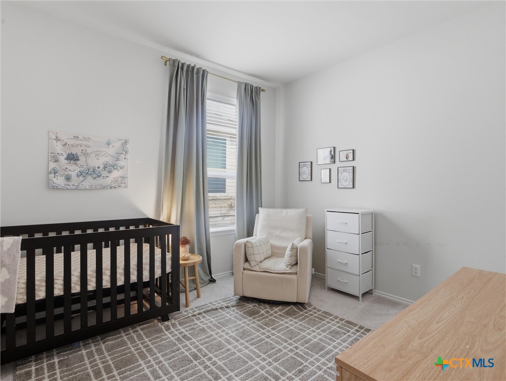 198 Orange Road Buda, TX 78610 - Photo 10 of 28