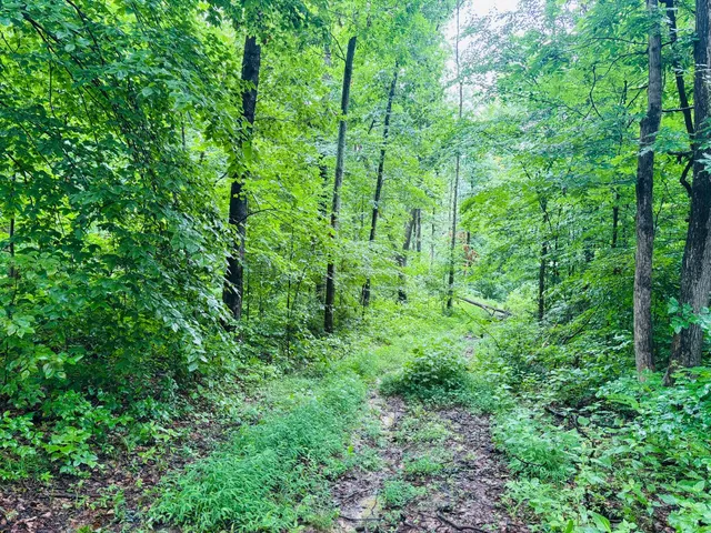 $110,000 | 0 Laurel Road, Laurel, IN 47024