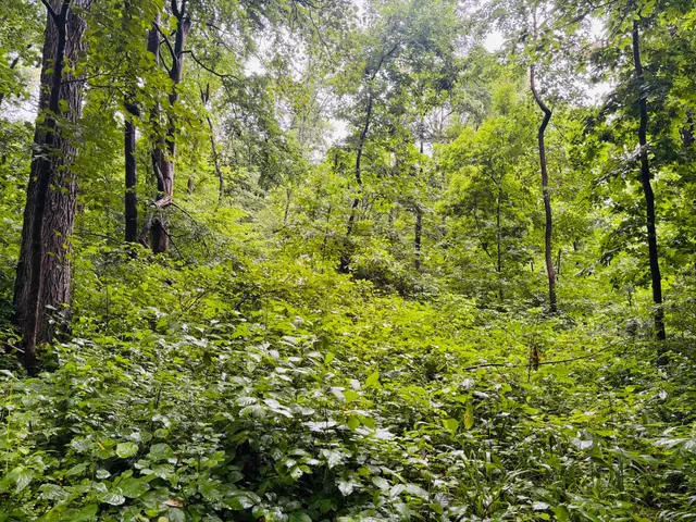 $110,000 | 0 Laurel Road, Laurel, IN 47024