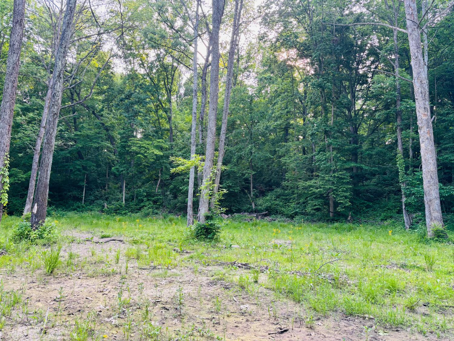 0 Laurel Road Laurel, IN 47024 - Photo 3 of 16