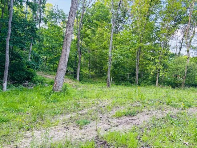 $110,000 | 0 Laurel Road, Laurel, IN 47024