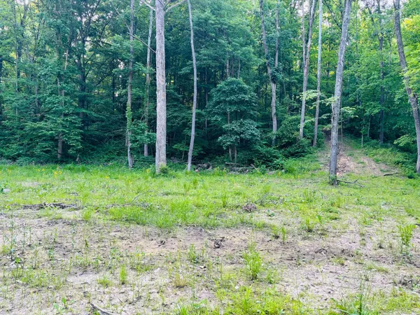 $110,000 | 0 Laurel Road, Laurel, IN 47024