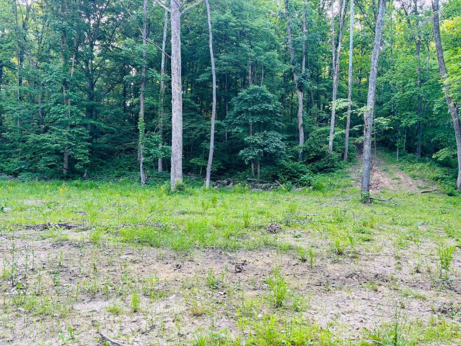 0 Laurel Road Laurel, IN 47024 - Photo 5 of 16