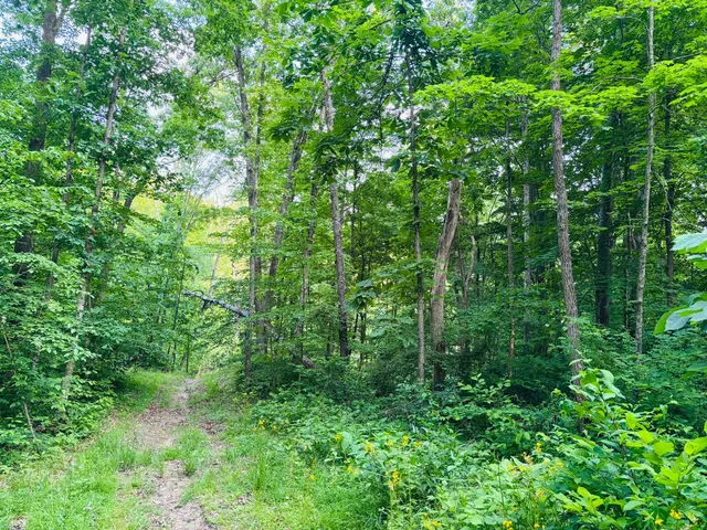 $110,000 | 0 Laurel Road, Laurel, IN 47024