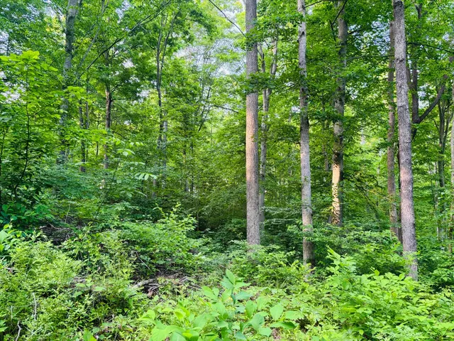 $110,000 | 0 Laurel Road, Laurel, IN 47024