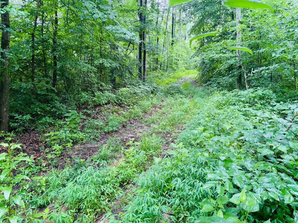 $110,000 | 0 Laurel Road, Laurel, IN 47024