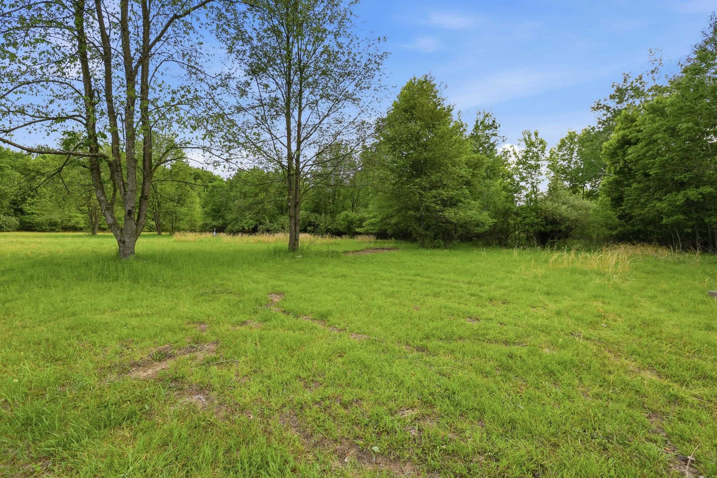 Vl South Chapin Road Elsie, MI 48831 - Photo 8 of 26