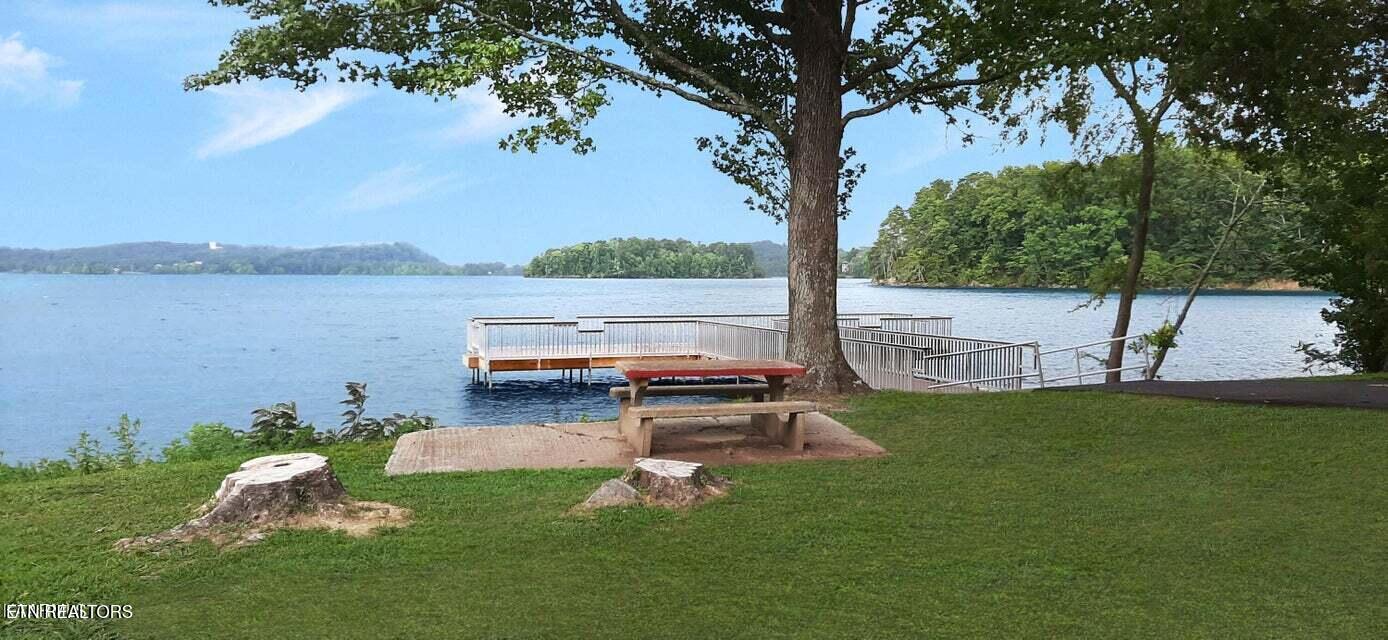 Lot 19 Dogwood Cove Road Spring City, TN 37381 - Photo 11 of 13 ..