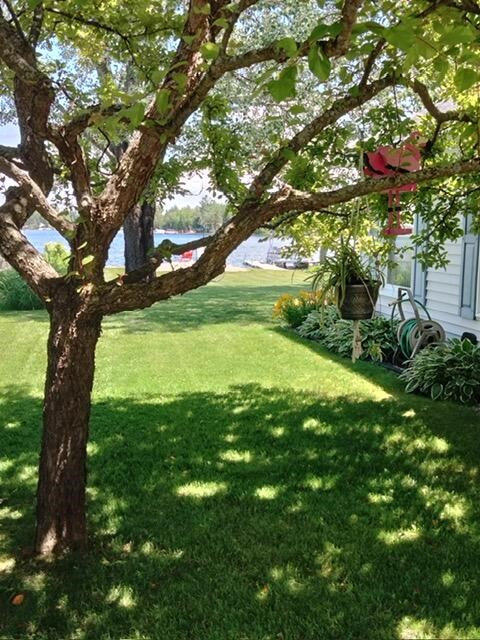 5420 Timberbend Road Sears, MI 49679 - Photo 10 of 44