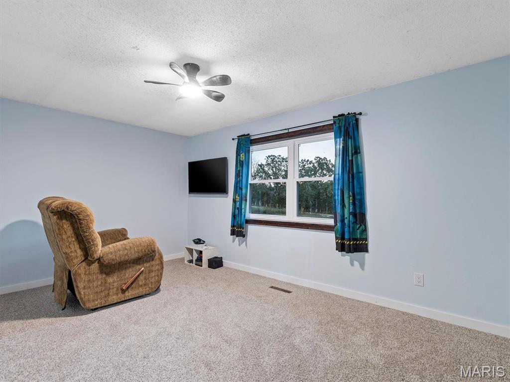 590 Neff Road Leasburg, MO 65535 - Photo 26 of 40