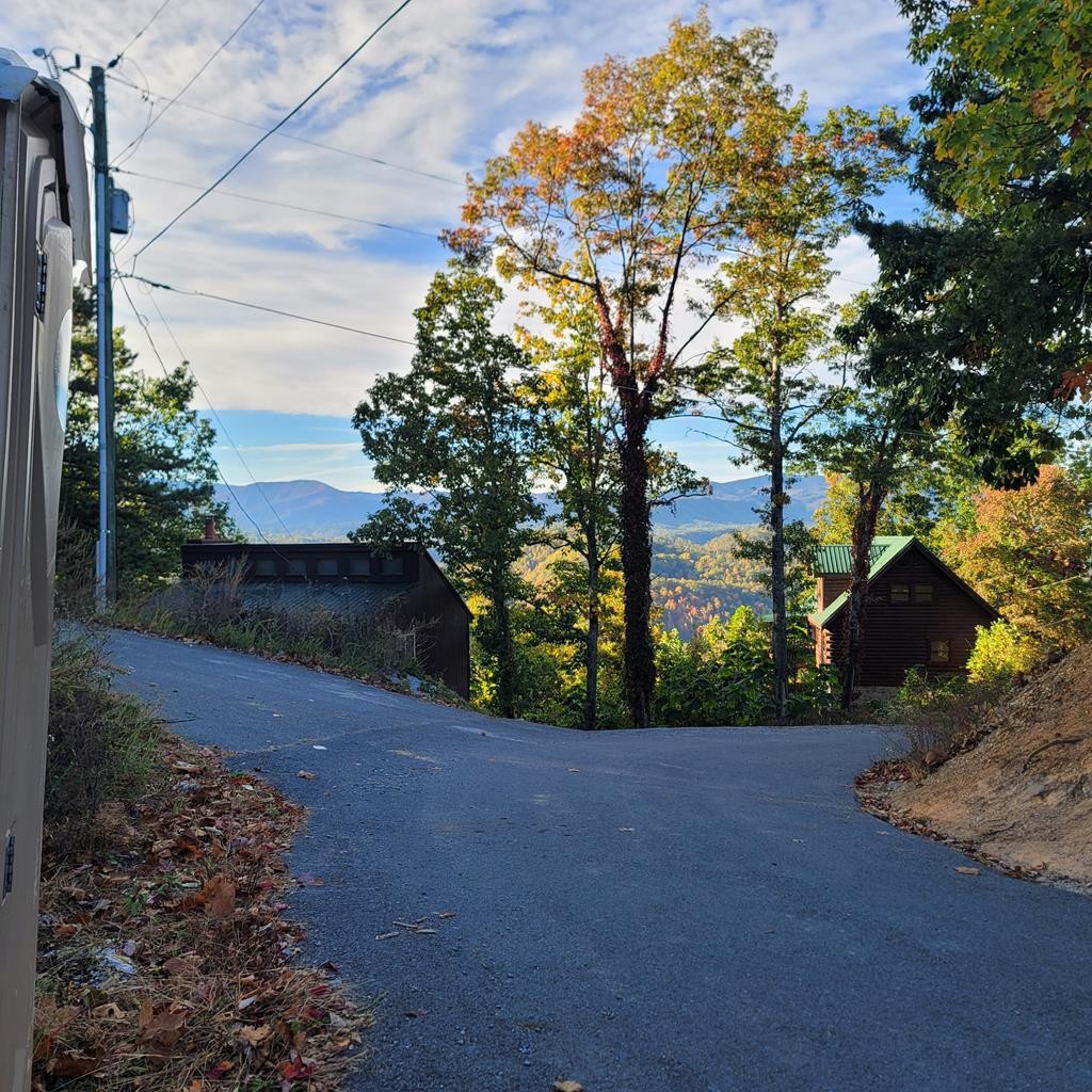 36 Blue Tick Way Sevierville, TN 37876 - Photo 3 of 25