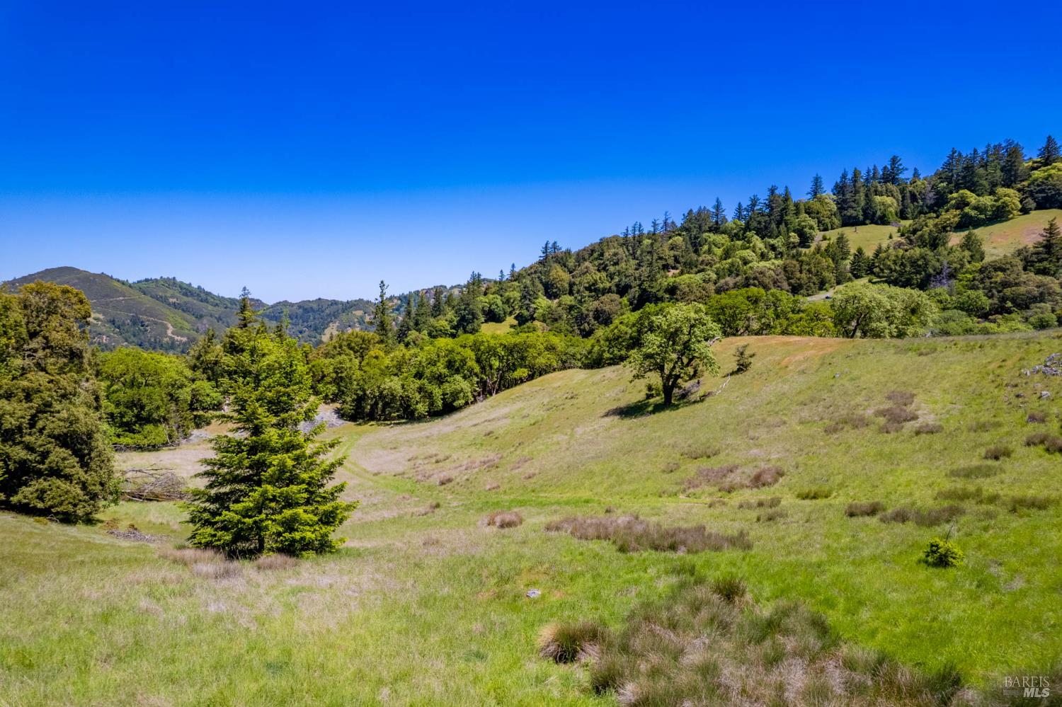19780 Yorkville Ranch Road Yorkville, CA 95494 - Photo 12 of 49 a view of a yard