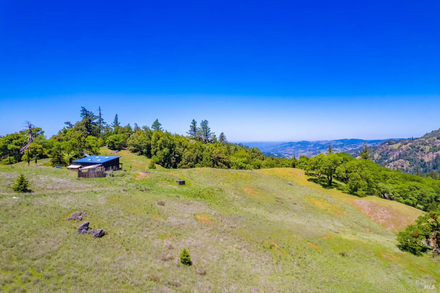 19780 Yorkville Ranch Road Yorkville, CA 95494 - Photo 16 of 49 a view of a yard with an trees