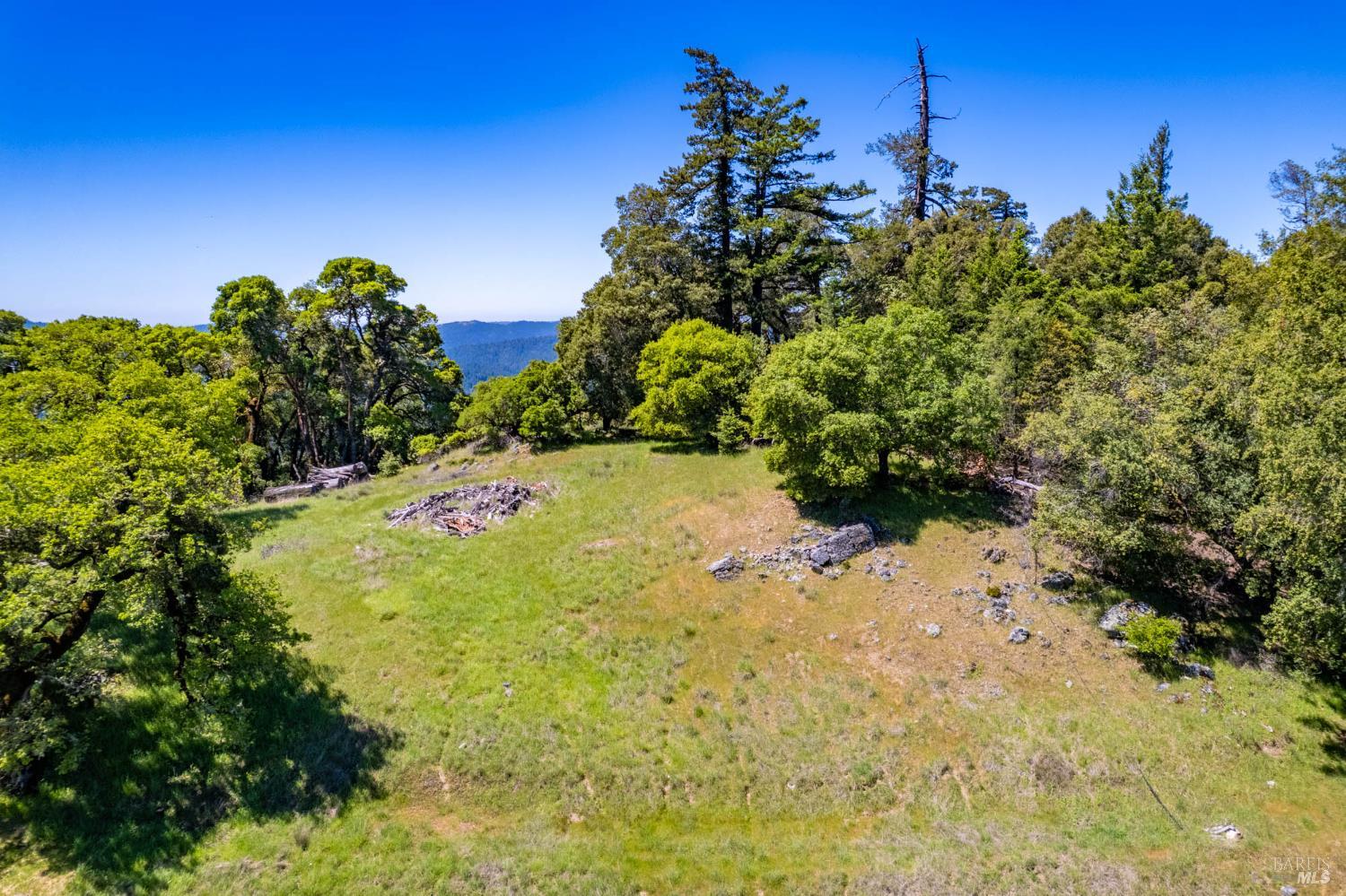 19780 Yorkville Ranch Road Yorkville, CA 95494 - Photo 9 of 49 a view of a yard with a tree