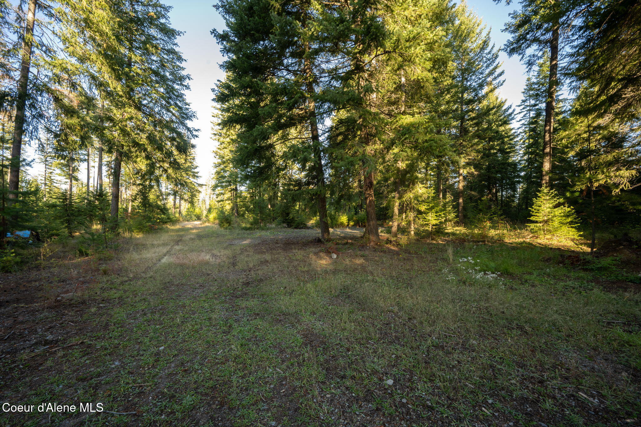 25517 North Hatch Road Athol, ID 83801 - Photo 4 of 7 Level, usable terrain