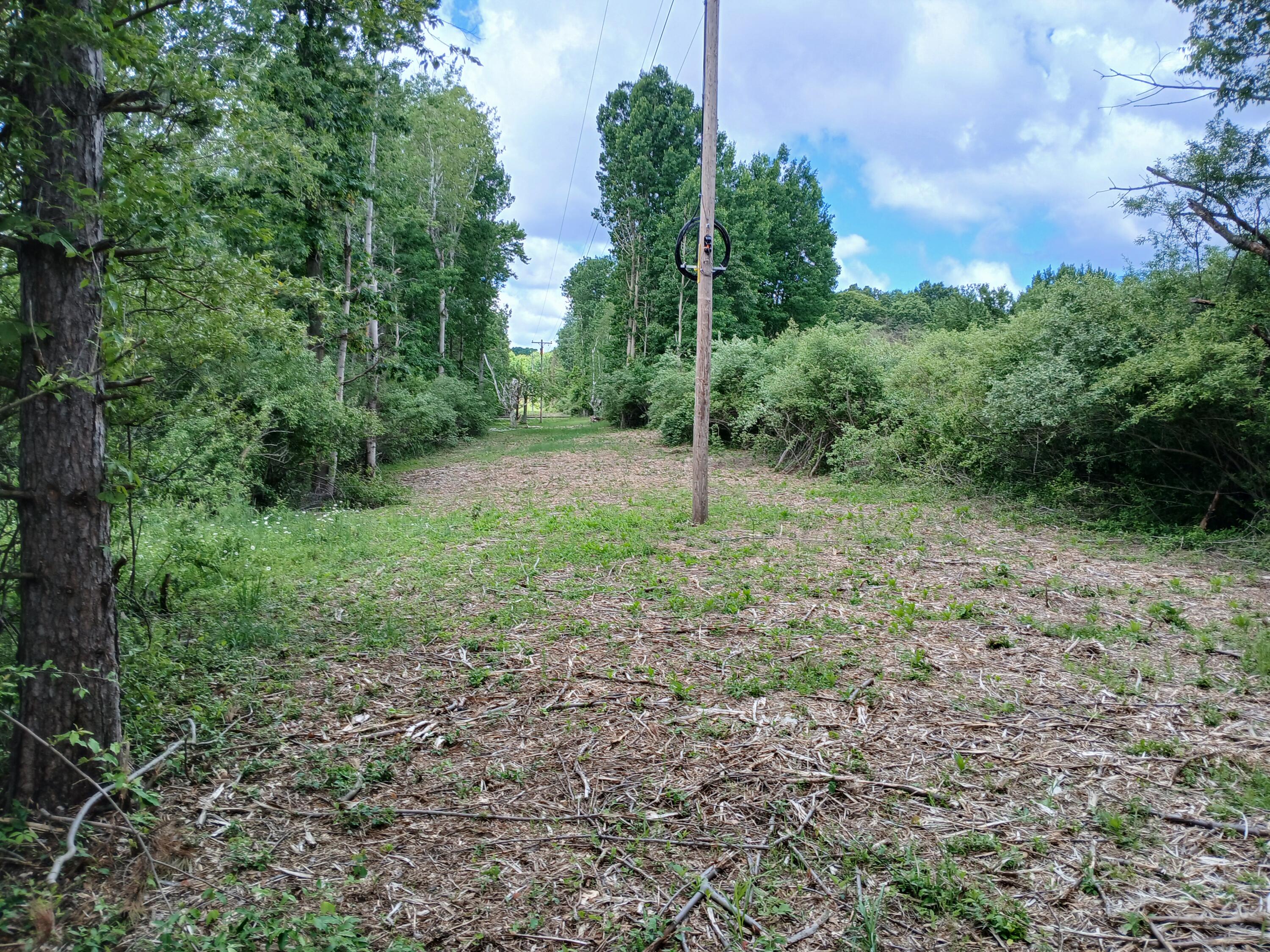 24 East Beyer Road Fountain, MI 49410 - Photo 9 of 10 Utilities available