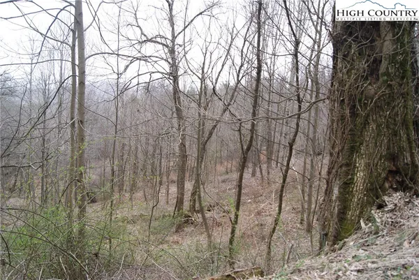 $28,390 | Lot 57 Toms Knob Road, Sparta, NC 28675