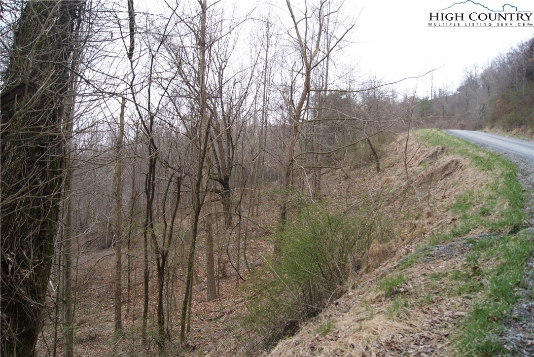 Lot 57 Toms Knob Road Sparta, NC 28675 - Photo 4 of 8