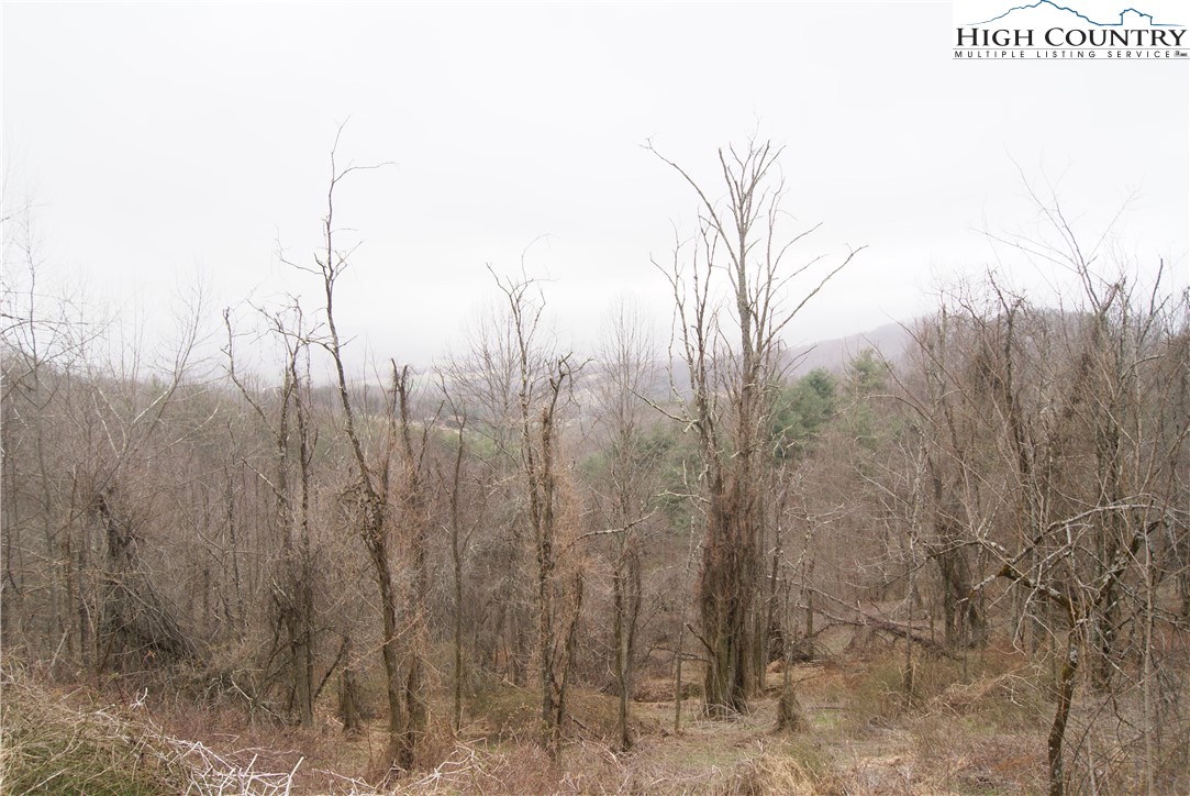 Lot 57 Toms Knob Road Sparta, NC 28675 - Photo 5 of 8