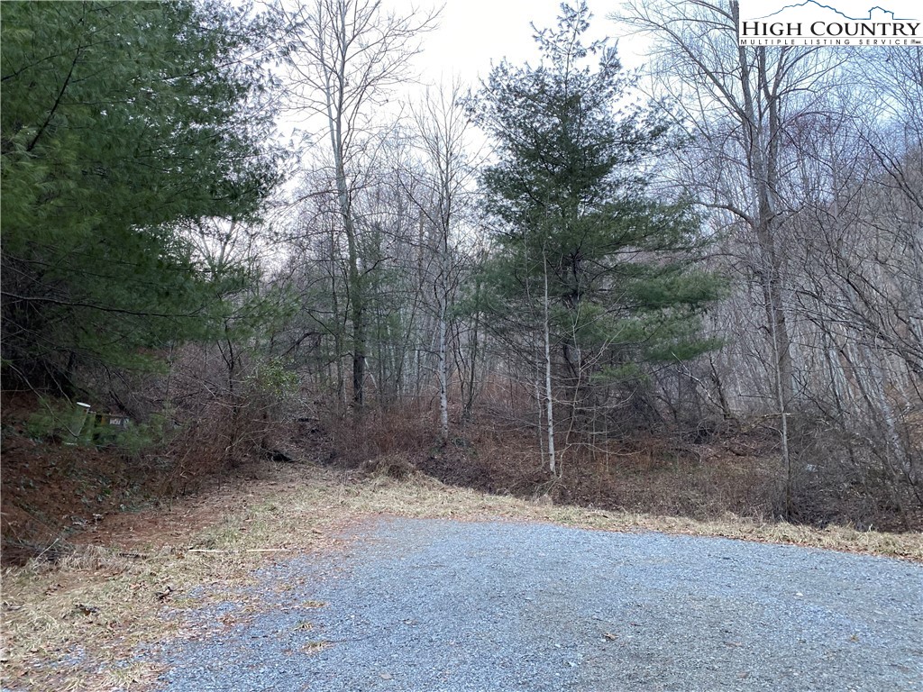 Lot 57 Toms Knob Road Sparta, NC 28675 - Photo 6 of 8