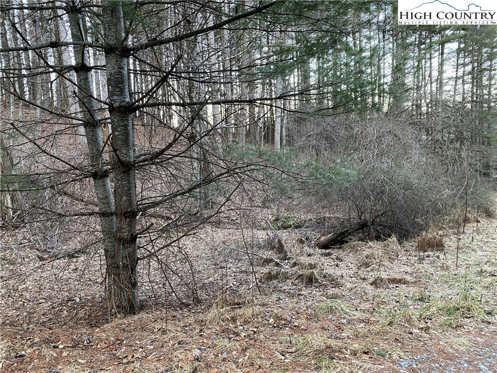 Lot 57 Toms Knob Road Sparta, NC 28675 - Photo 7 of 8