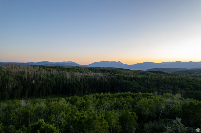 9156 Forest Road, Unit 24 Heber City, UT 84036 - Photo 33 of 42 Expansive forested landscape with distant mountain ranges under a clear sky