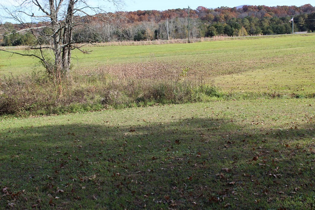 321 Benton Station Road Benton, TN 37307 - Photo 8 of 25 Gallery Image 8