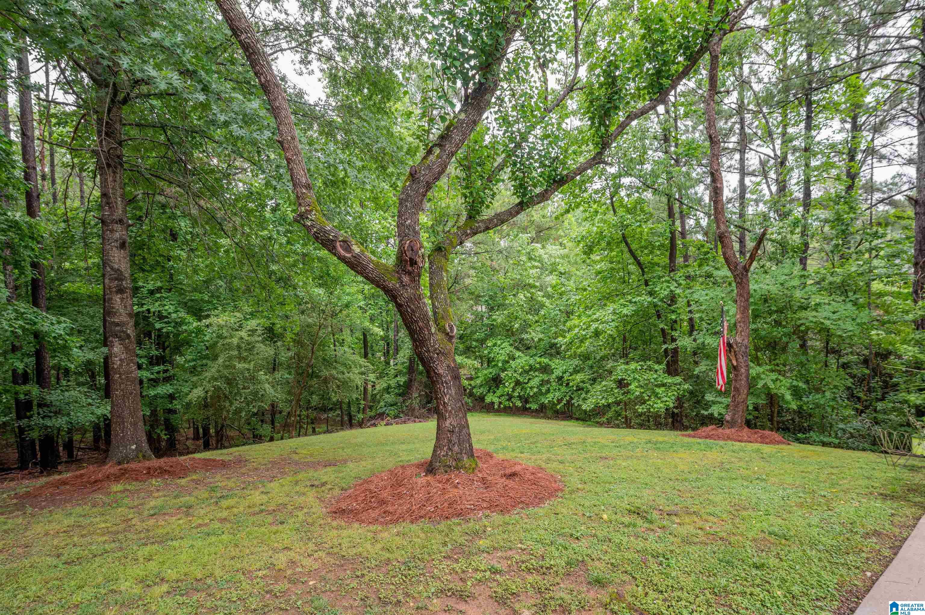 124 Windsor Lane Pelham, AL 35124 - Photo 49 of 50