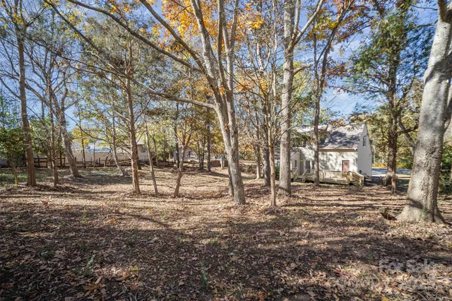 a view of a yard with a tree