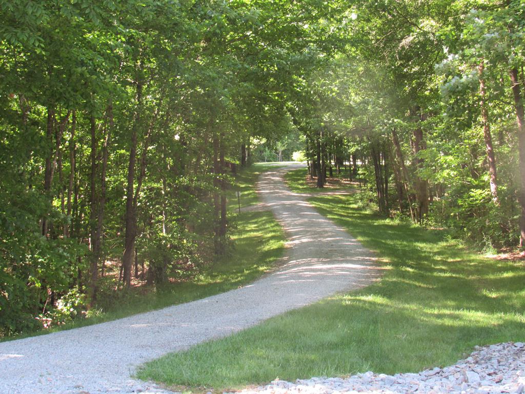830 Guinea Road Farmville, VA 23901 - Photo 14 of 19 Gallery Image 14